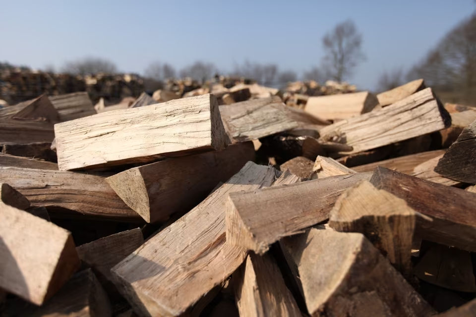 Brennholz Holzarten Vergleich